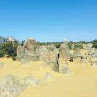 A Magical New Year at The Pinnacles: Western Australia’s Natural Wonder 🇦🇺