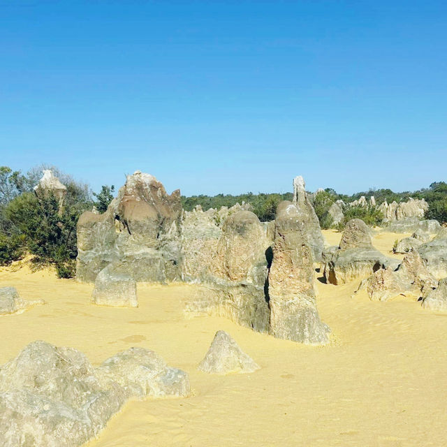 A Magical New Year at The Pinnacles: Western Australia’s Natural Wonder 🇦🇺