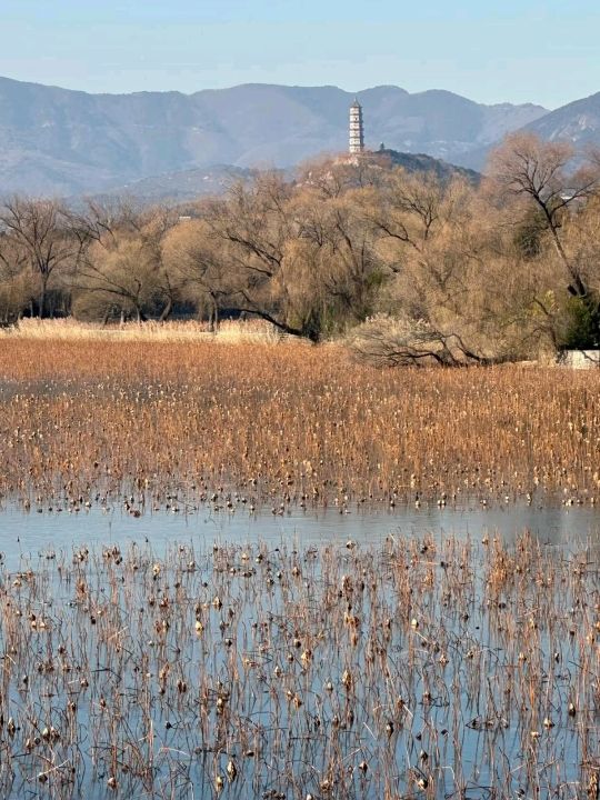 Beautiful visit to summer palace Beijing 😘