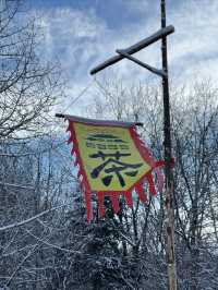 不是雪鄉住不起，而是雪谷更有性價比