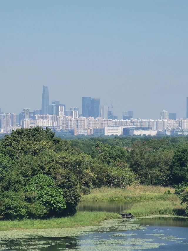 香港5日遊 超詳細攻略別錯過。