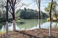 青西郊野公園