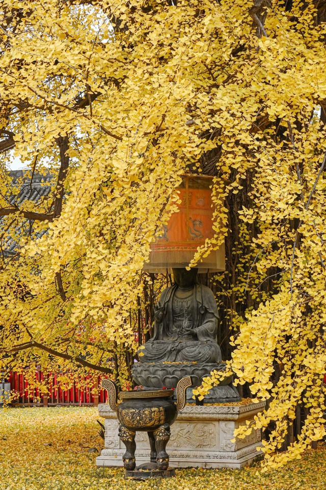 古觀音禪寺、白塔寺，萬金萬兩，落不盡。