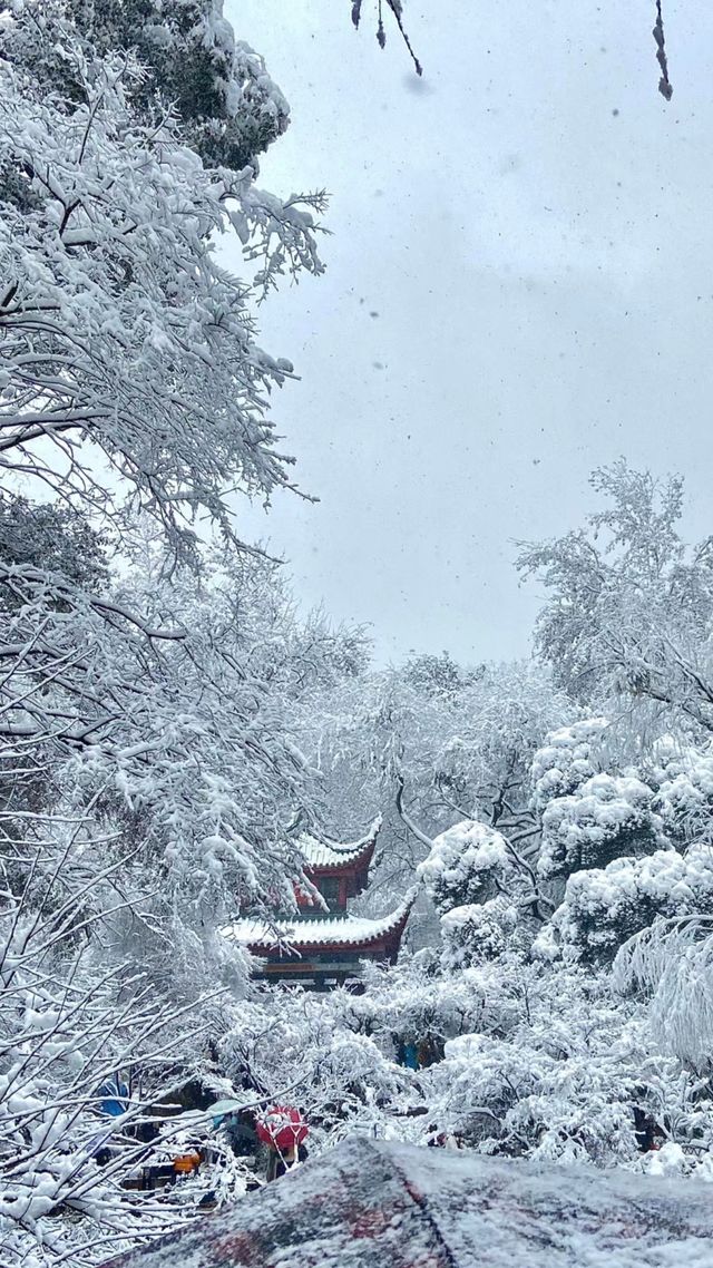 當橘子洲遇上雪