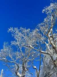 哈爾濱-雪鄉3日滑雪行不看後悔的超全攻略