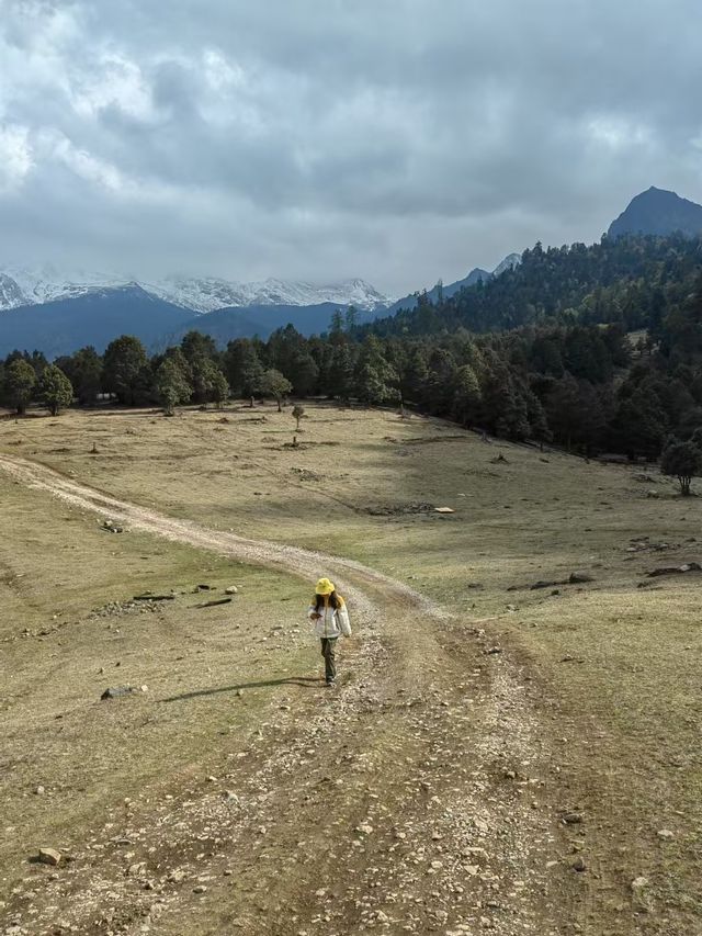 藏在哈巴雪山腳下的童話營地