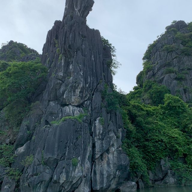 Truly remarkable SUPER -SPECTACULAR trip to beautiful Halong!