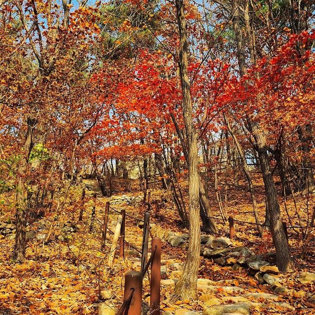 Beautiful Autumn Of Bukhansan National Park 