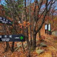 Beautiful Autumn Of Bukhansan National Park 