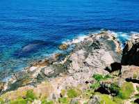 Fur Seal Lookout