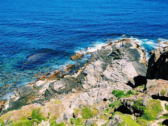 Fur Seal Lookout