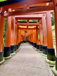 【京都】伏見稻荷大社：紅色千本鳥居隧道