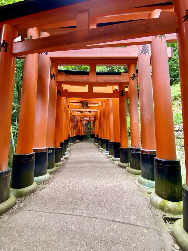 【京都】伏見稻荷大社：紅色千本鳥居隧道