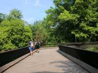 A sunny day walk at Botanic Gardens