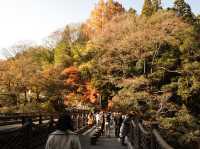 [四國自駕遊] 德島祖谷紅葉之旅