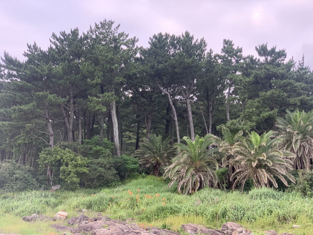 가까운 최고의 여행지 제주도