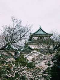  【和歌山×和歌山城 天守閣】花見と絶景が楽しめる名城