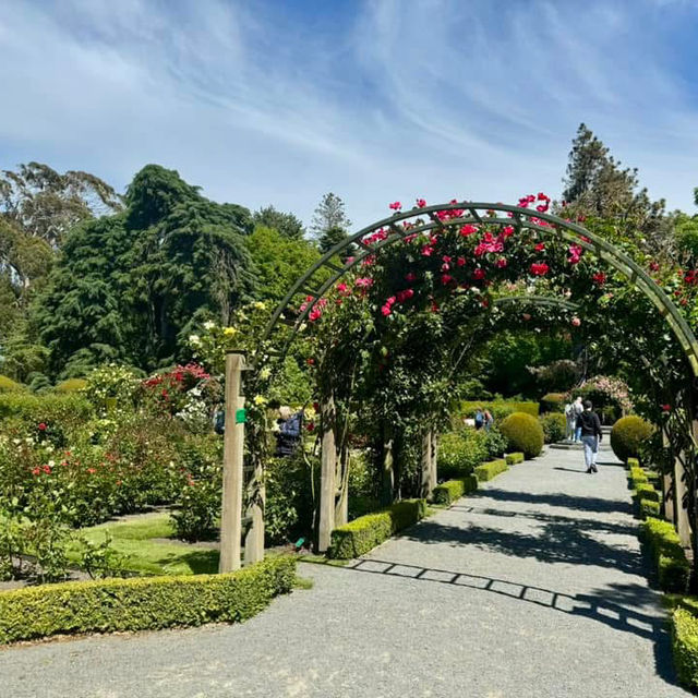 Christchurch Botanic Gardens 🌲🌴🌱🌿🍄🌹🌺🌾🌸