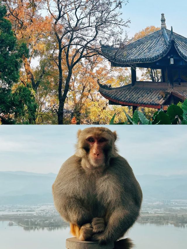 每天認識一座山|川南勝境-瀘山