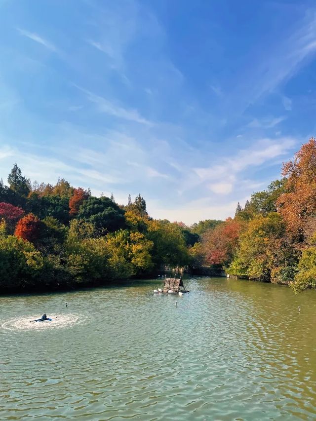 地鐵直達，踏青、露營、看動物，上海遛娃必逛~