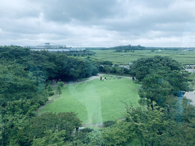 綠茶博物館 | 濟州島的“世外桃源”