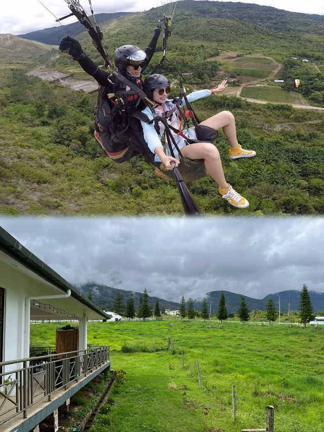 亞庇神山牧場｜「我的阿勒泰」分會場還能親自餵小牛