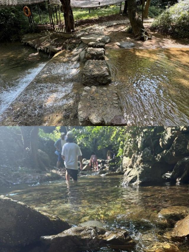 富春芳草地|住進百畝依山傍水的天然林地裡