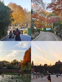 紅山森林動物園遊玩攻略｜這一篇就夠了。