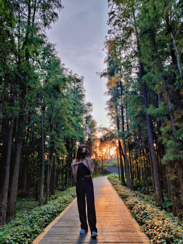 特成沙公園｜江門小眾拍照地