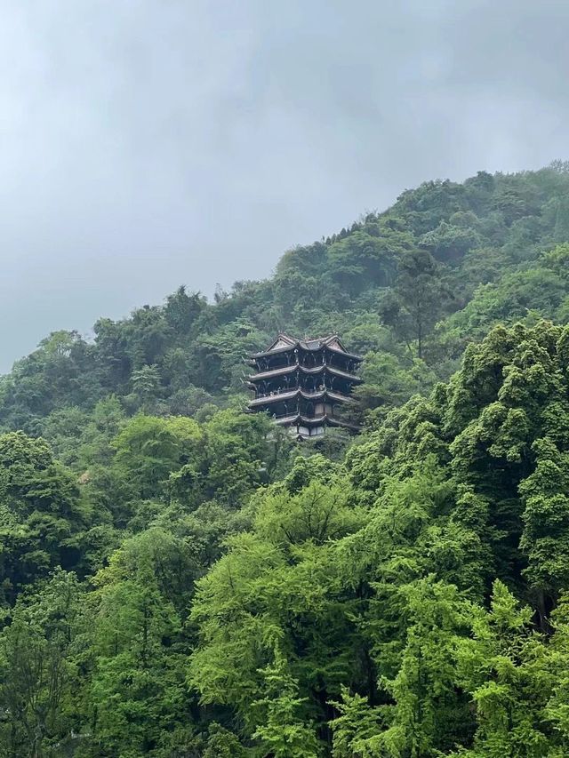 2天成都-樂山-黃龍溪暢遊攻略 玩轉三地不踩雷