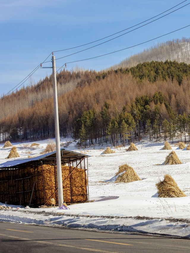 就為這一刻的雪景，我才跨越3000公里來東北