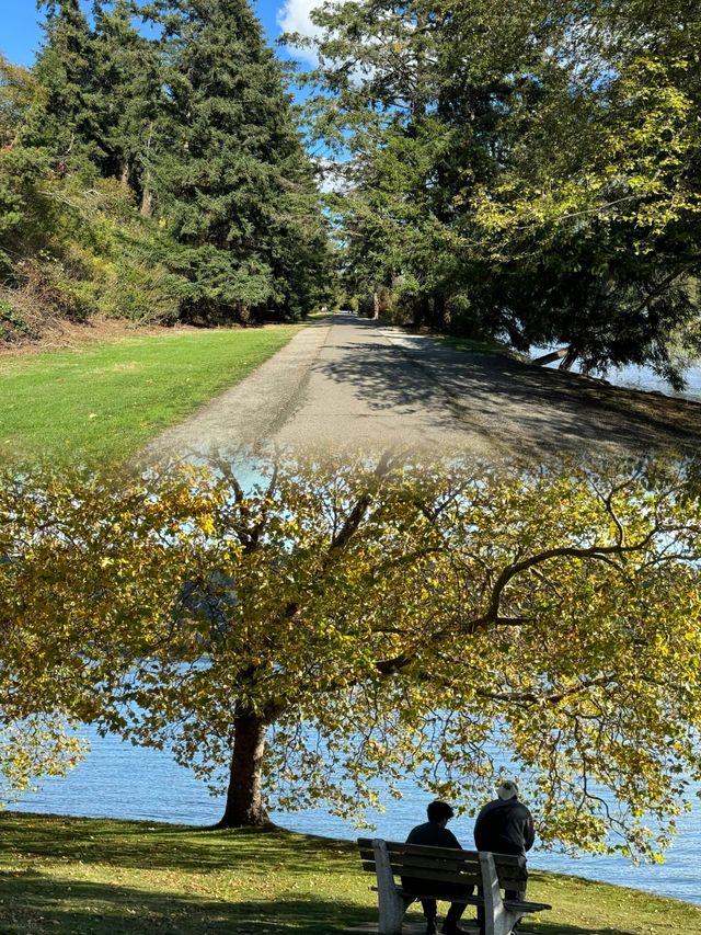 西雅圖遛娃寶藏地！Seward Park 遊玩攻略來啦！