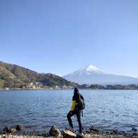 Fuji with Sakura !! 