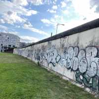 Resilience Unveiled: Reflections from the Berlin Wall