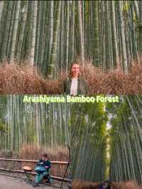 Guide to Arashiyama: A Day Trip from Kyoto, Japan 🇯🇵