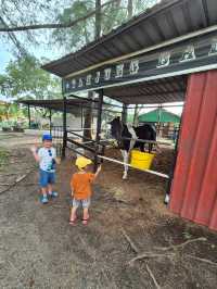 Johor Horse Carriage 🐎