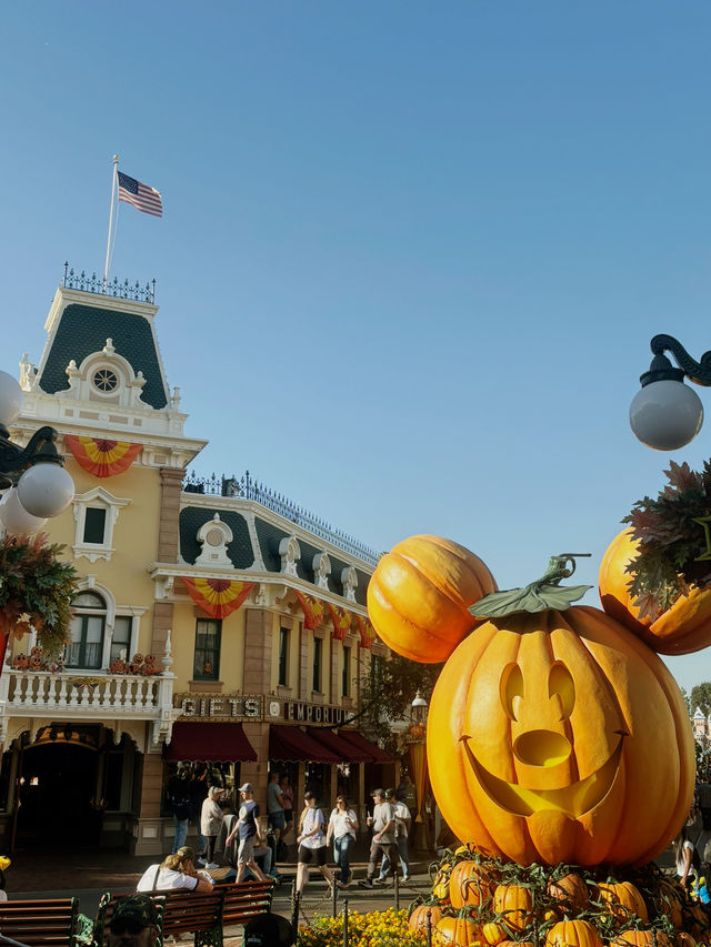 元祖ディズニー、カリフォルニアディズニーリゾート🐭🪄