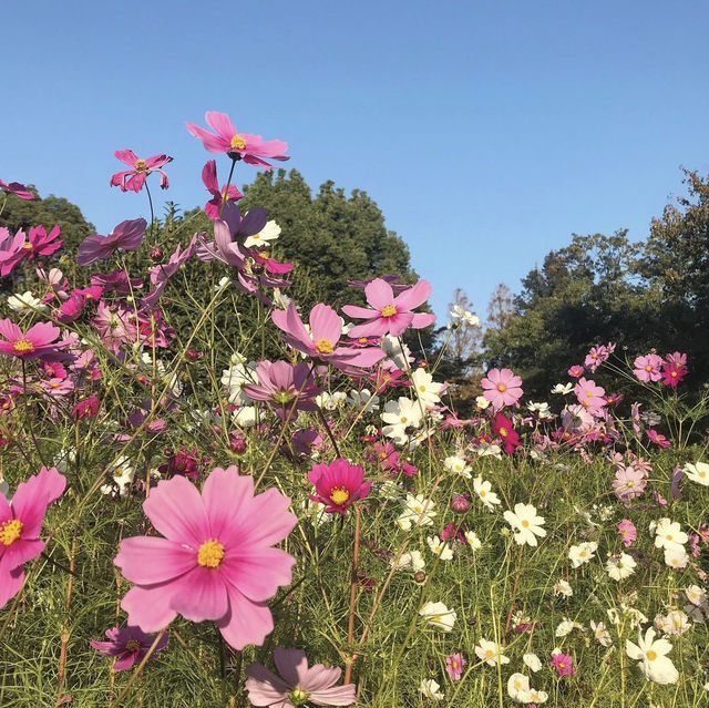 福岡市動植物園，適合約會、親子旅遊的景點