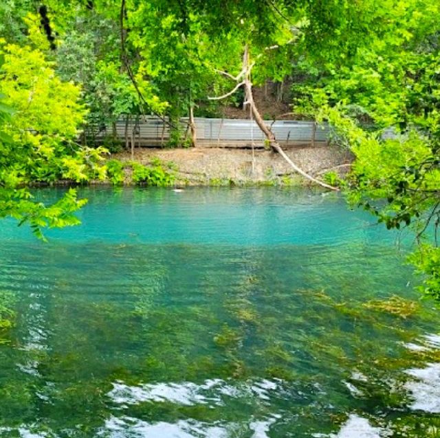 VISITING BARTON SPRINGS POOL.