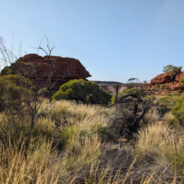 Unveil the Wonders of Kings Canyon - Watarrka National Park