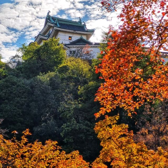 wakayama castle