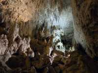 A Magical Journey Through Waitomo Glowworm Caves