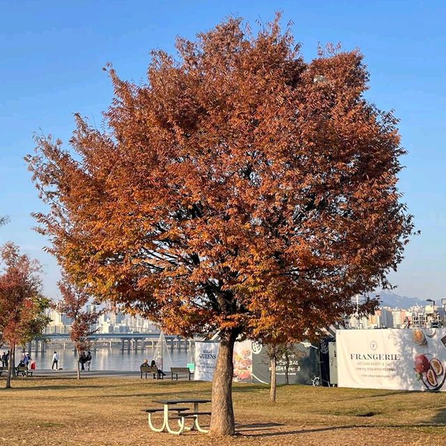 Yeouido Hangang Park