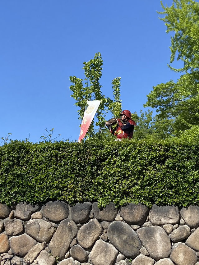 Osaka Castle: A Timeless Fortress in the Heart of the City