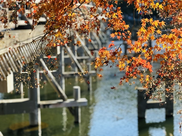 京都周邊嵐山公園