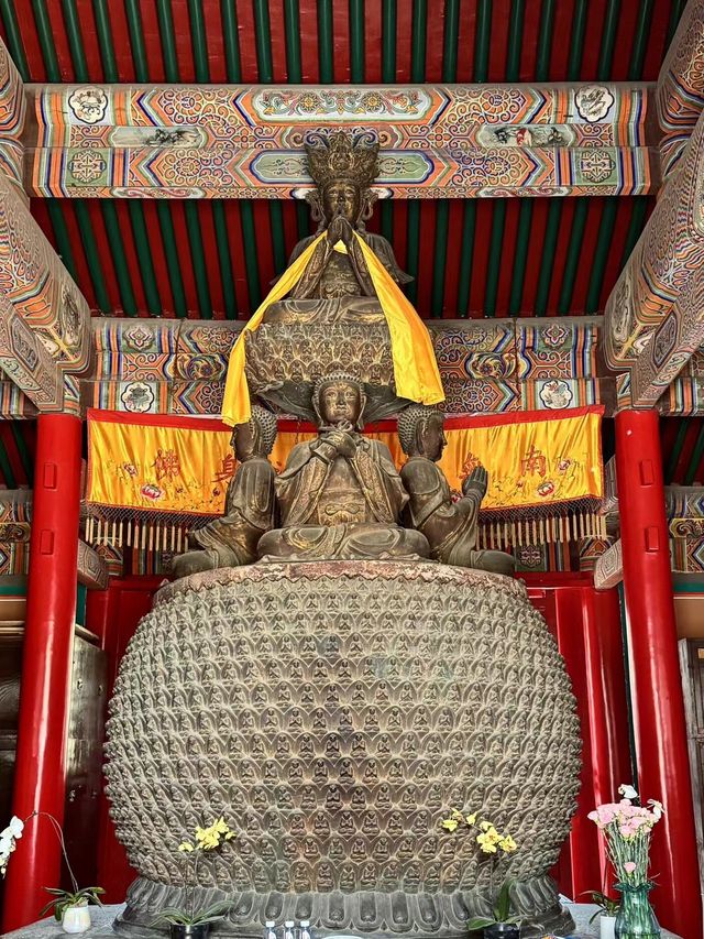 春日的法源寺，丁香花已經滿園飄香了