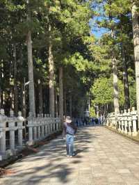 世界文化遺產日本佛教聖地高野山一日遊