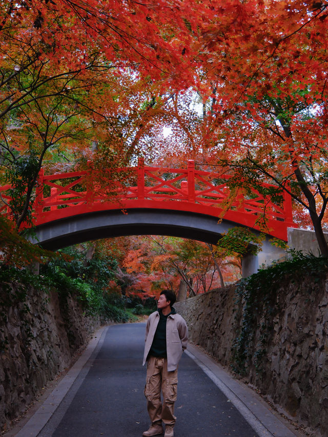 比起棲霞山，我更愛這個楓葉紅人極少的小眾旅行地