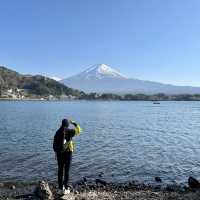 Fuji with Sakura !! 