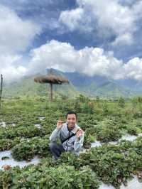 Beautiful Sembalun, Lombok